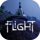 Flight